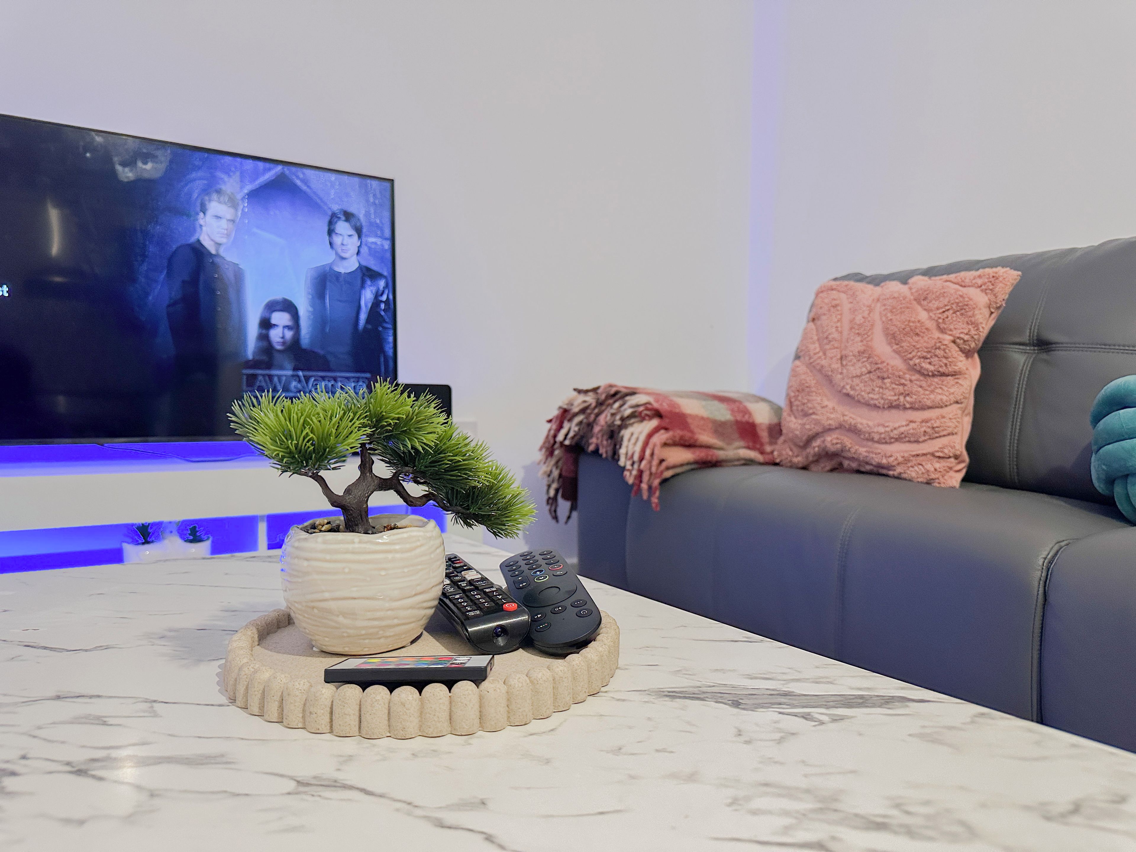 Una sala de estar con televisor, planta en maceta, controles remotos y un sofá con una manta.