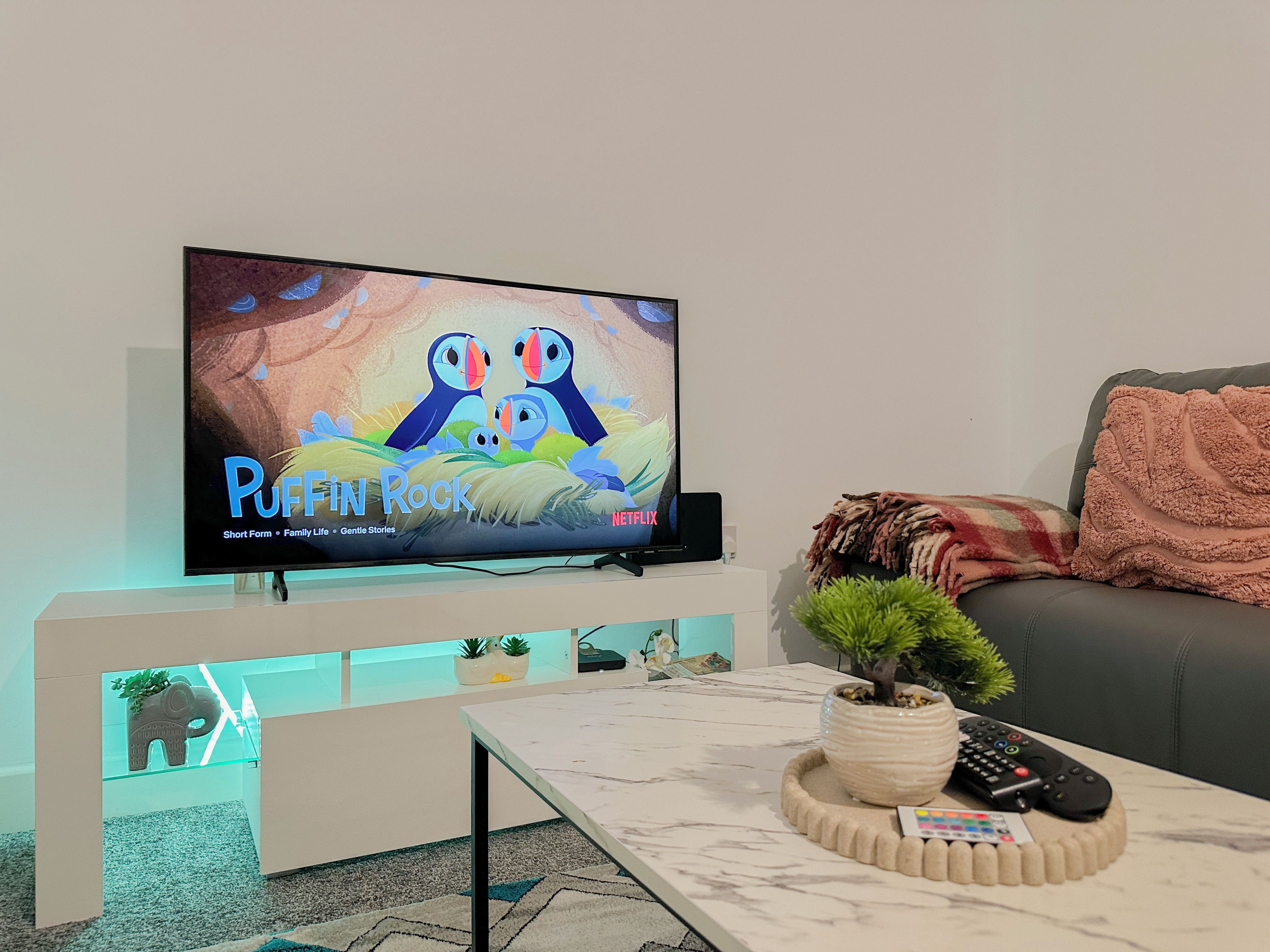 Een flatscreen televisie aan een muur, waarop 'Puffin Rock' via Netflix wordt getoond.