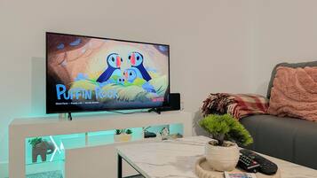 Een flatscreen televisie aan een muur, waarop 'Puffin Rock' via Netflix wordt getoond.
