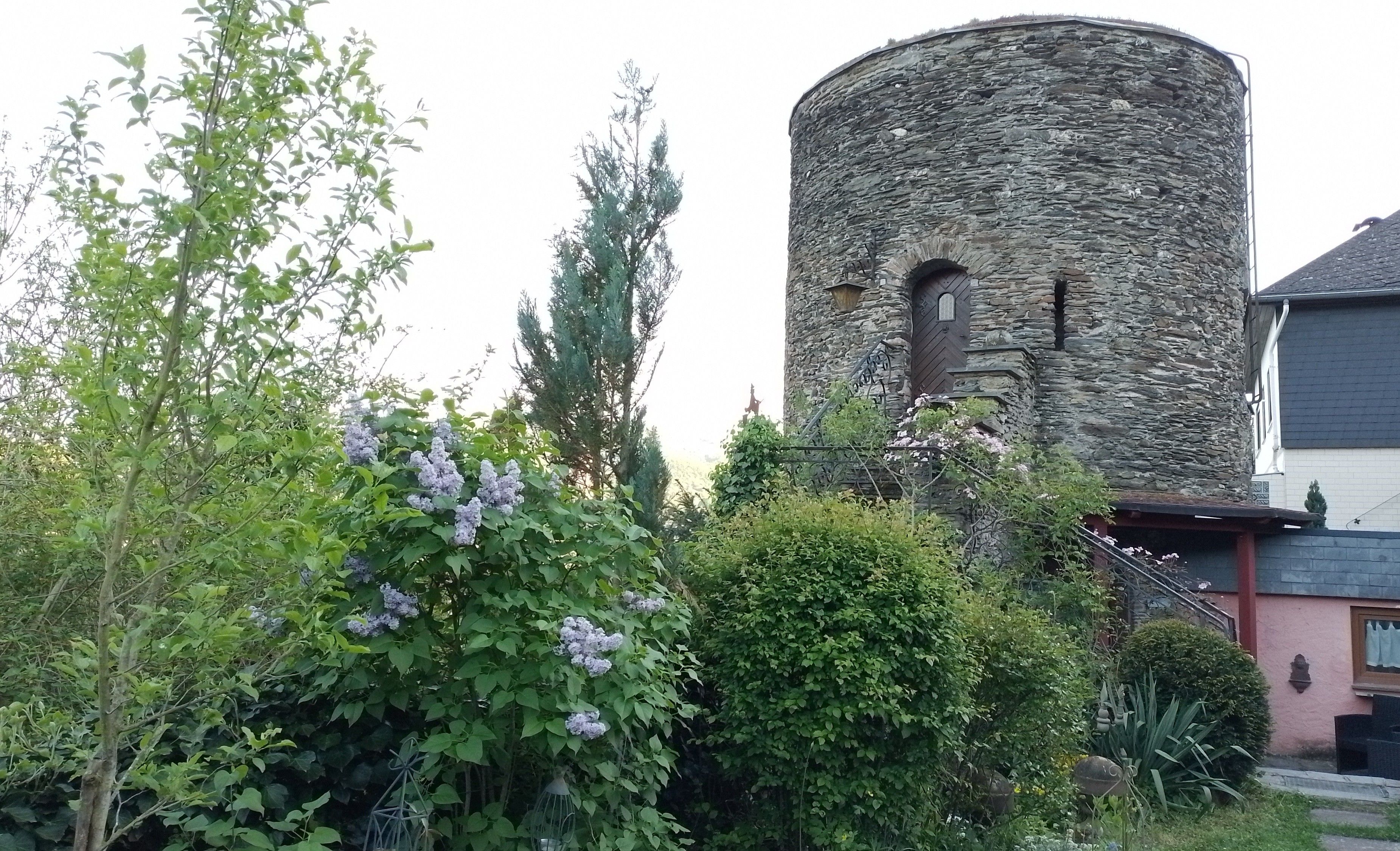 Ein steinerner Turm mit Bogenfenstern, umgeben von üppigem Grün und blühenden Pflanzen.