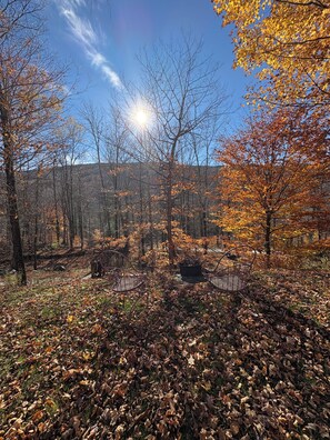 A forested area with a clear sky, a bench, and a fire pit. - Delightful 2-bedroom, solar-powered cabin in charming Vermont awaits you (Chittenden)