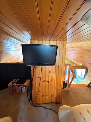 Un téléviseur fixé au mur en bois dans une pièce dont le sol est recouvert d’une moquette.