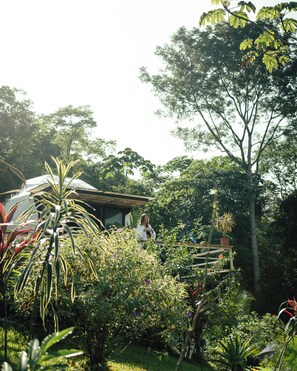 A garden with a variety of plants and a house with a thatched roof. - Sukia Kin Glamping and Retreats (Drake Bay)