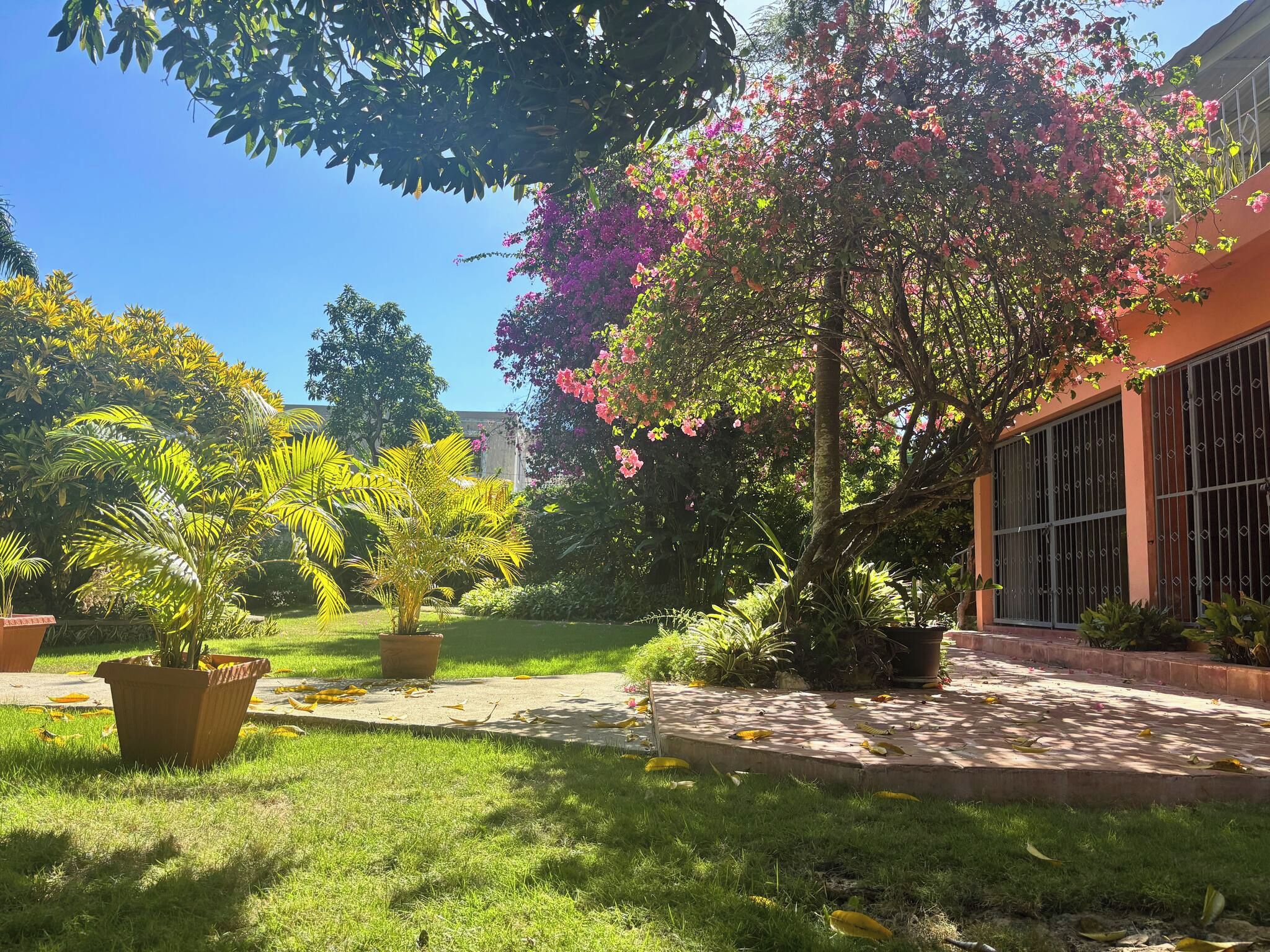 A garden with various potted plants, a pathway, and a building with barred windows.