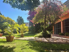 Um jardim com diversos vasos de plantas, um caminho e um edifício com janelas protegidas por grades.