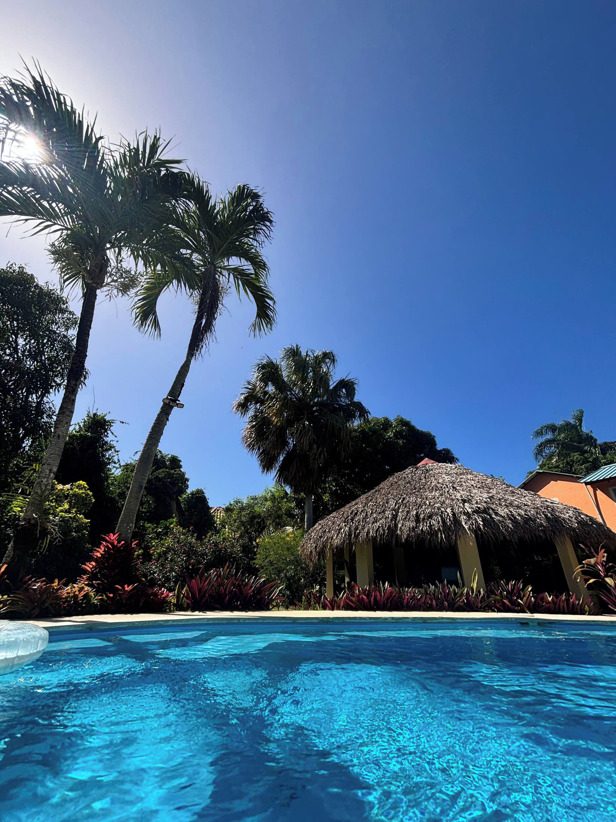 Une piscine d’eau cristalline, bordée d’une structure au toit de chaume et entourée de palmiers.