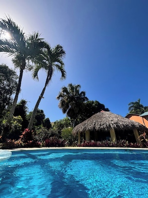 A clear blue pool with a thatched-roof structure and palm trees in the background. - CB Tropical Paradise (Cabrera)