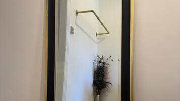 A room with a large mirror, a door, a small plant, and a textured yellow object.