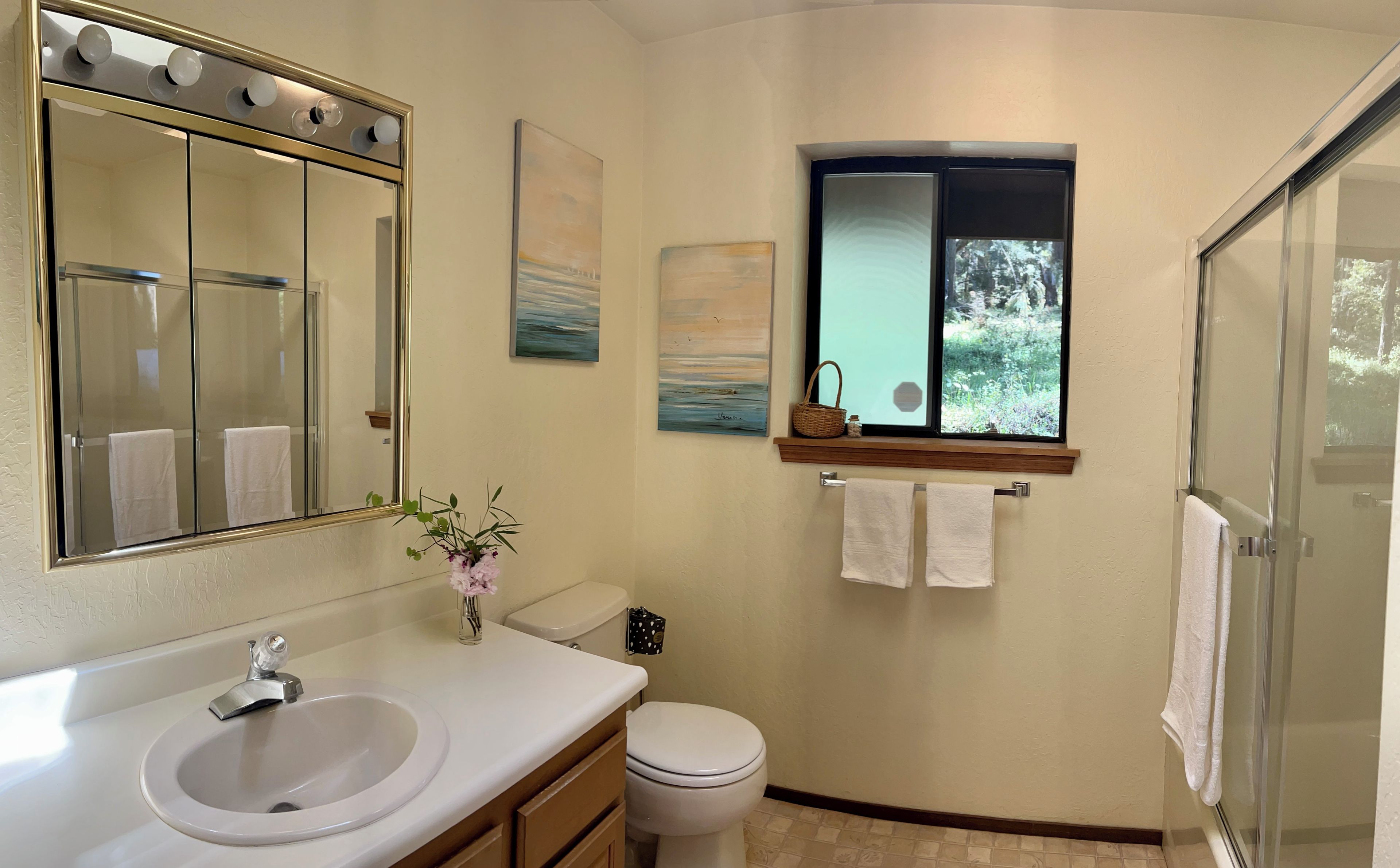 A bathroom with a sink, toilet, and a window with a view of greenery.