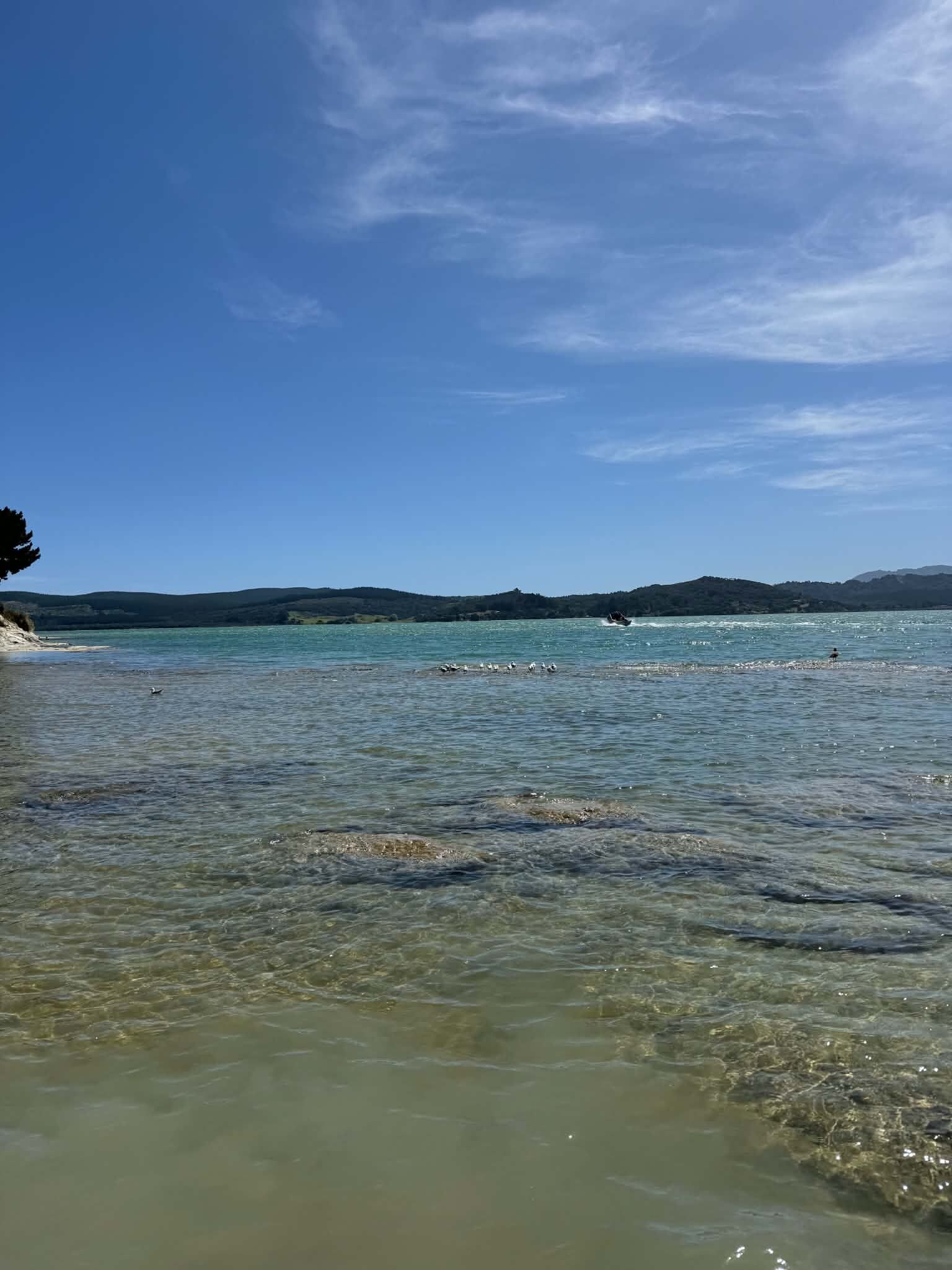 A clear lake with calm water, a boat in the distance, and a shoreline with trees.