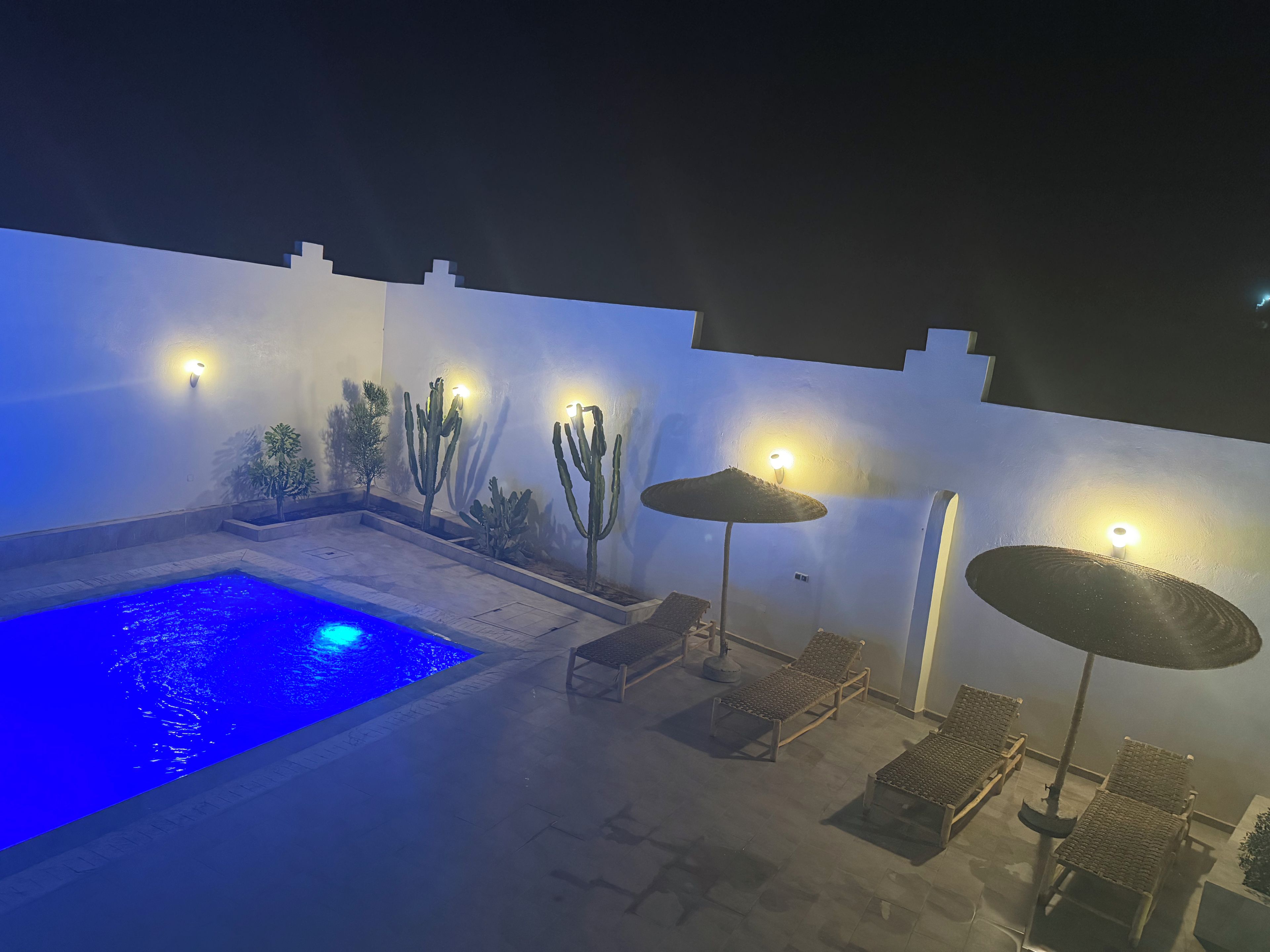 Ein Poolbereich mit einem blau beleuchteten Pool, Liegestühlen und einem Kakteengarten.