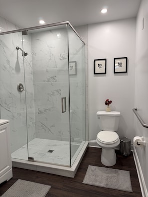 A modern bathroom with a glass-enclosed shower, a toilet, and two framed pictures on the wall. - Family Sized Apt. — in the Heart of Hyde Park ! (Chicago)