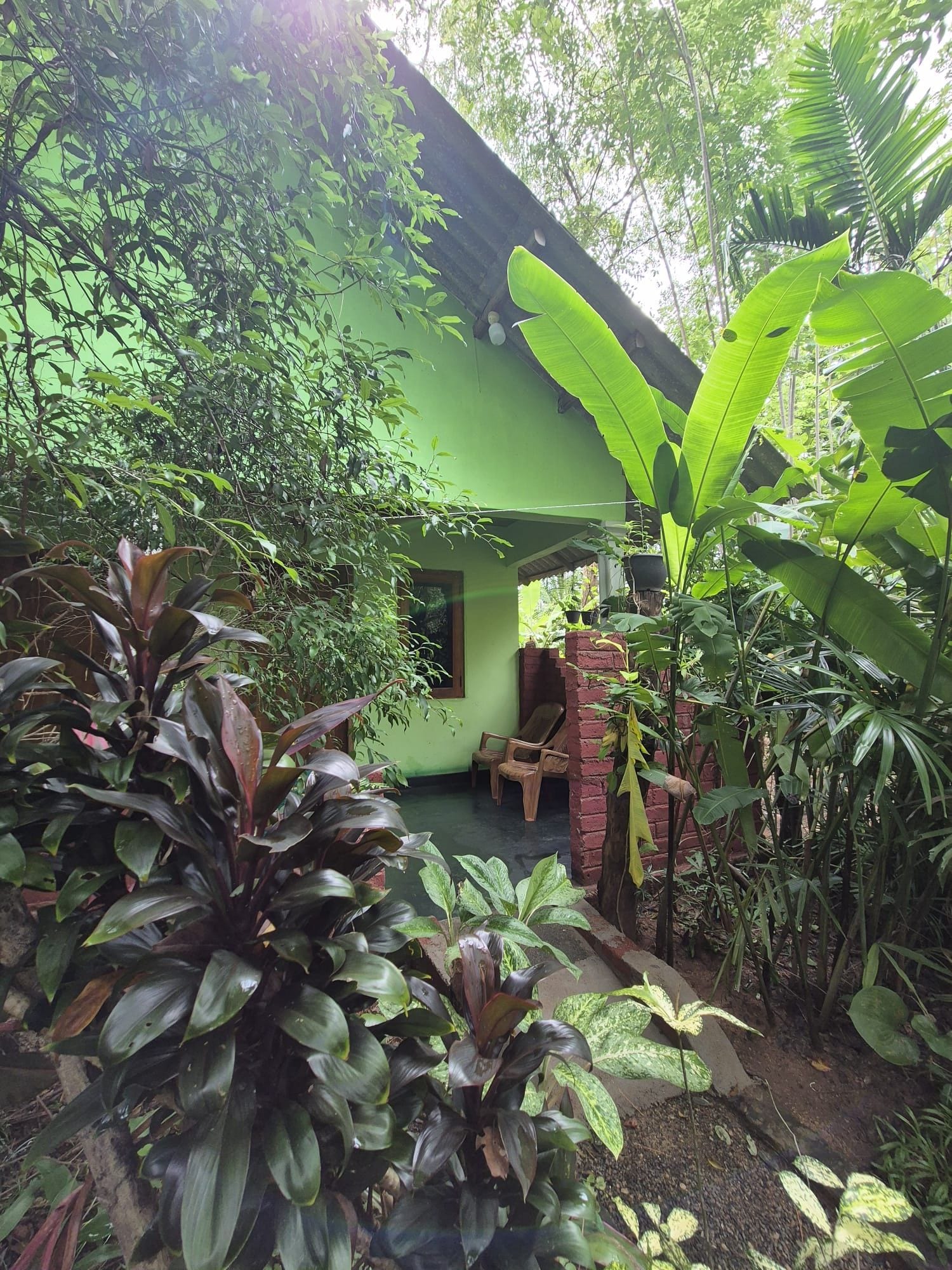 Une maison verte avec un porche, entourée d’une végétation tropicale luxuriante.