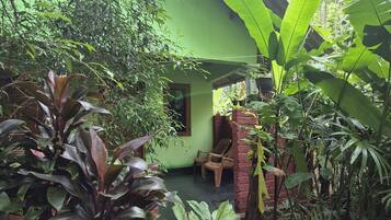 Une maison verte avec un porche, entourée d’une végétation tropicale luxuriante.