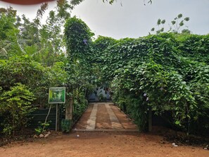 A pathway leading to a building surrounded by dense greenery, with a sign indicating a forest resort. - Forest Villa Nature Resort  (Anuradhapura)