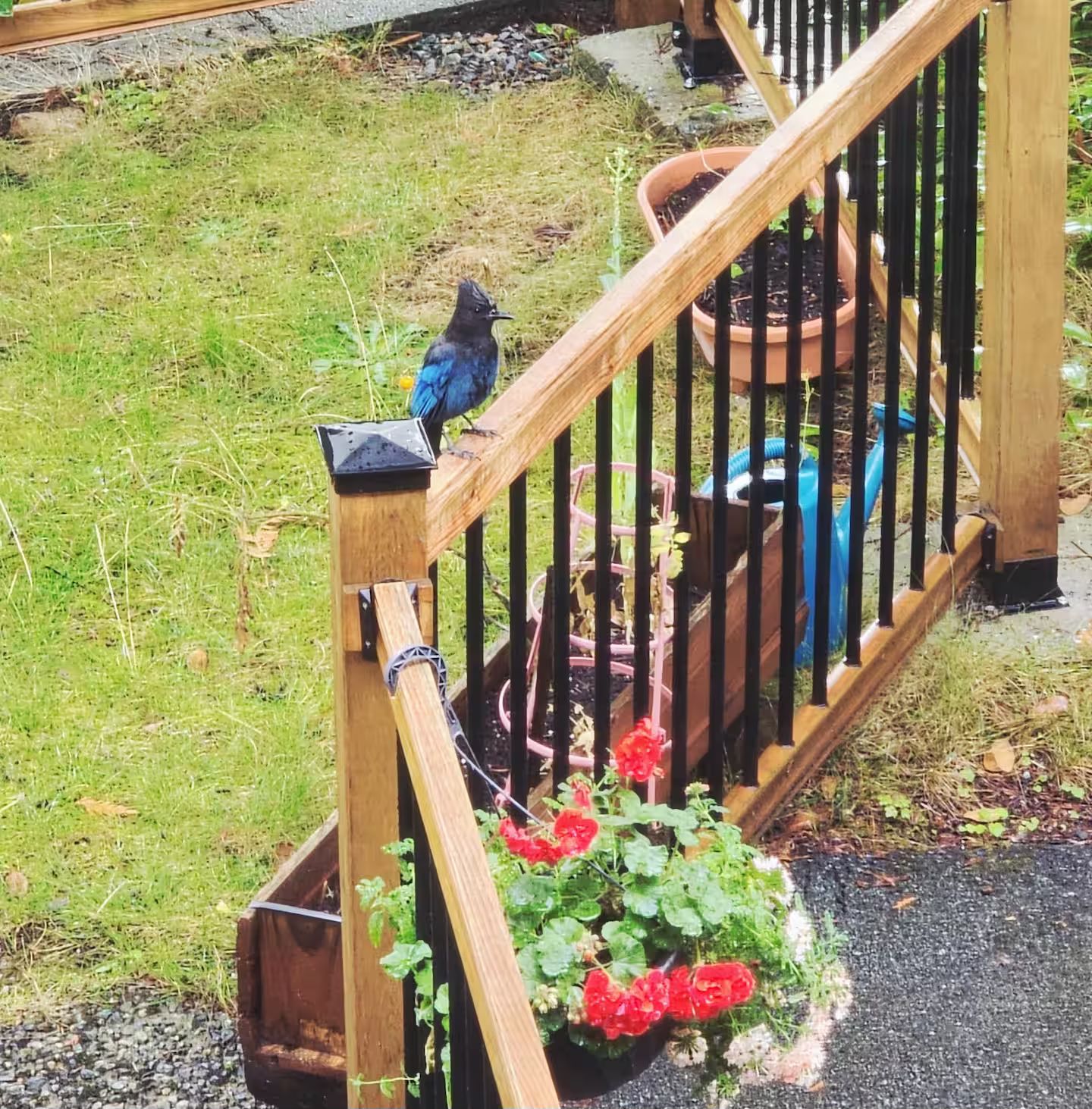 A wooden staircase with a bird perched on the railing.