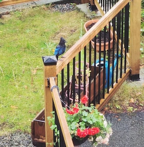 A wooden staircase with a bird perched on the railing. - Private suite near trails with mountain view (North Vancouver)