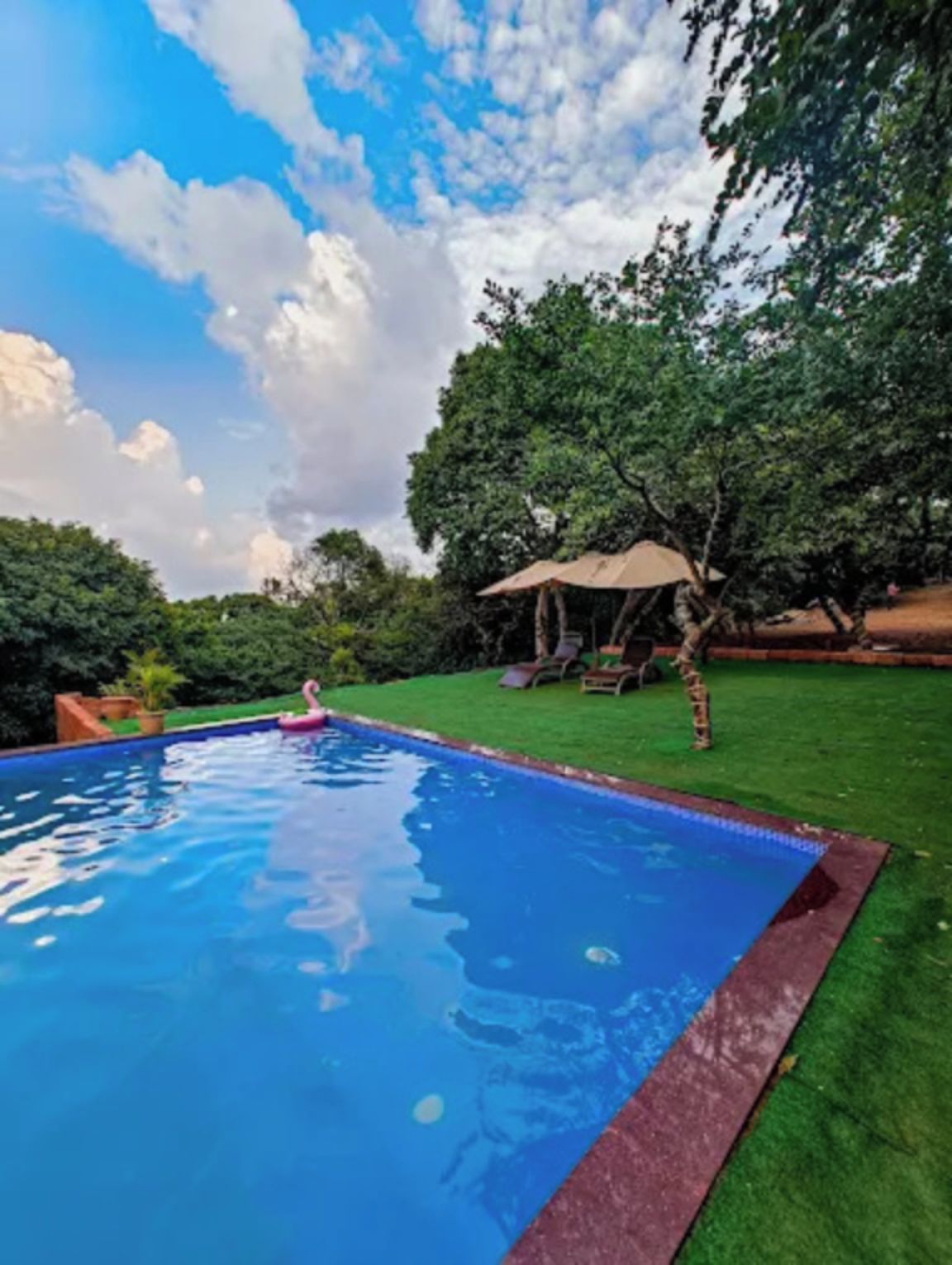 A swimming pool with a clear blue water surface, surrounded by a well-maintained lawn and trees.