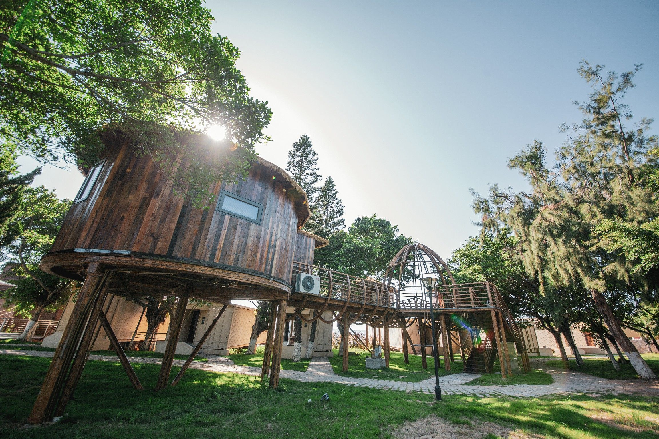 Una casa en el árbol de madera con una plataforma circular de observación, sostenida por vigas de madera, en un parque frondoso.