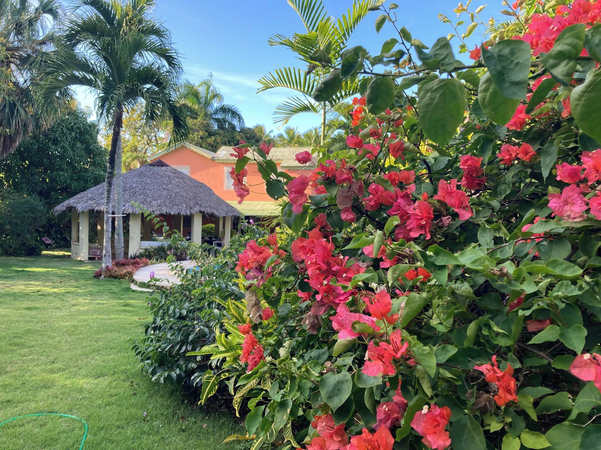A well-maintained garden with a thatched-roof structure, lush greenery, and vibrant pink flowers.