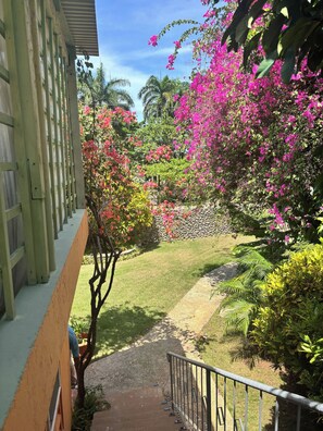 A pathway leading to a building with a green facade, surrounded by lush greenery and pink flowering plants. - CB Tropical paradise (Cabrera)