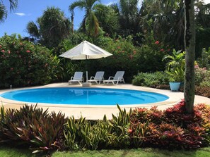 A swimming pool with three lounge chairs and a white umbrella. - CB Tropical paradise (Cabrera)