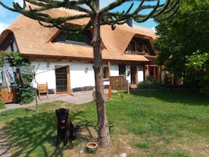 Une maison avec un toit de chaume, une pelouse et un chien.