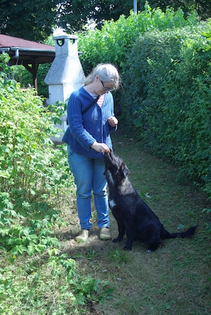 A person interacting with a black dog in a garden with dense foliage and a stone structure in the background. - New Listing (Trent)