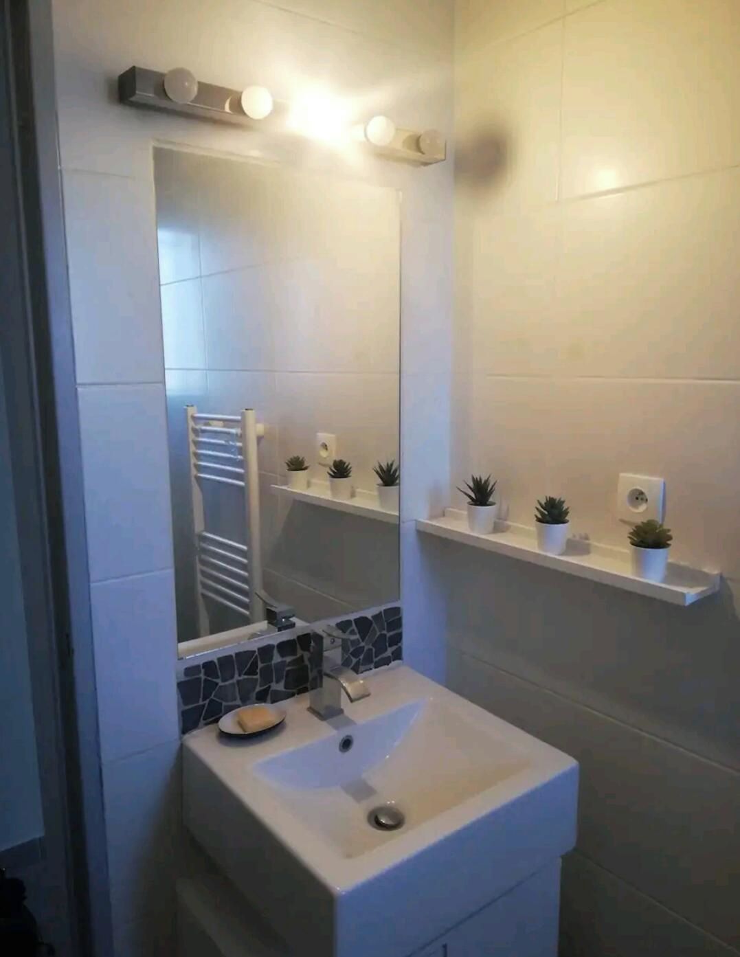 Une salle de bain avec un lavabo blanc, un miroir et une étagère ornée de plantes en pot.