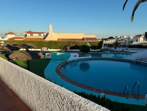 Une piscine à bordures courbes, entourée d’un mur blanc et d’une haie.