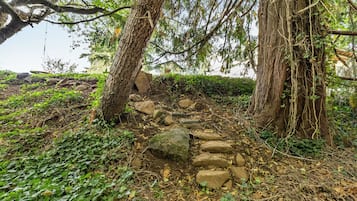 A natural outdoor setting with a stone pathway leading through a wooded area.