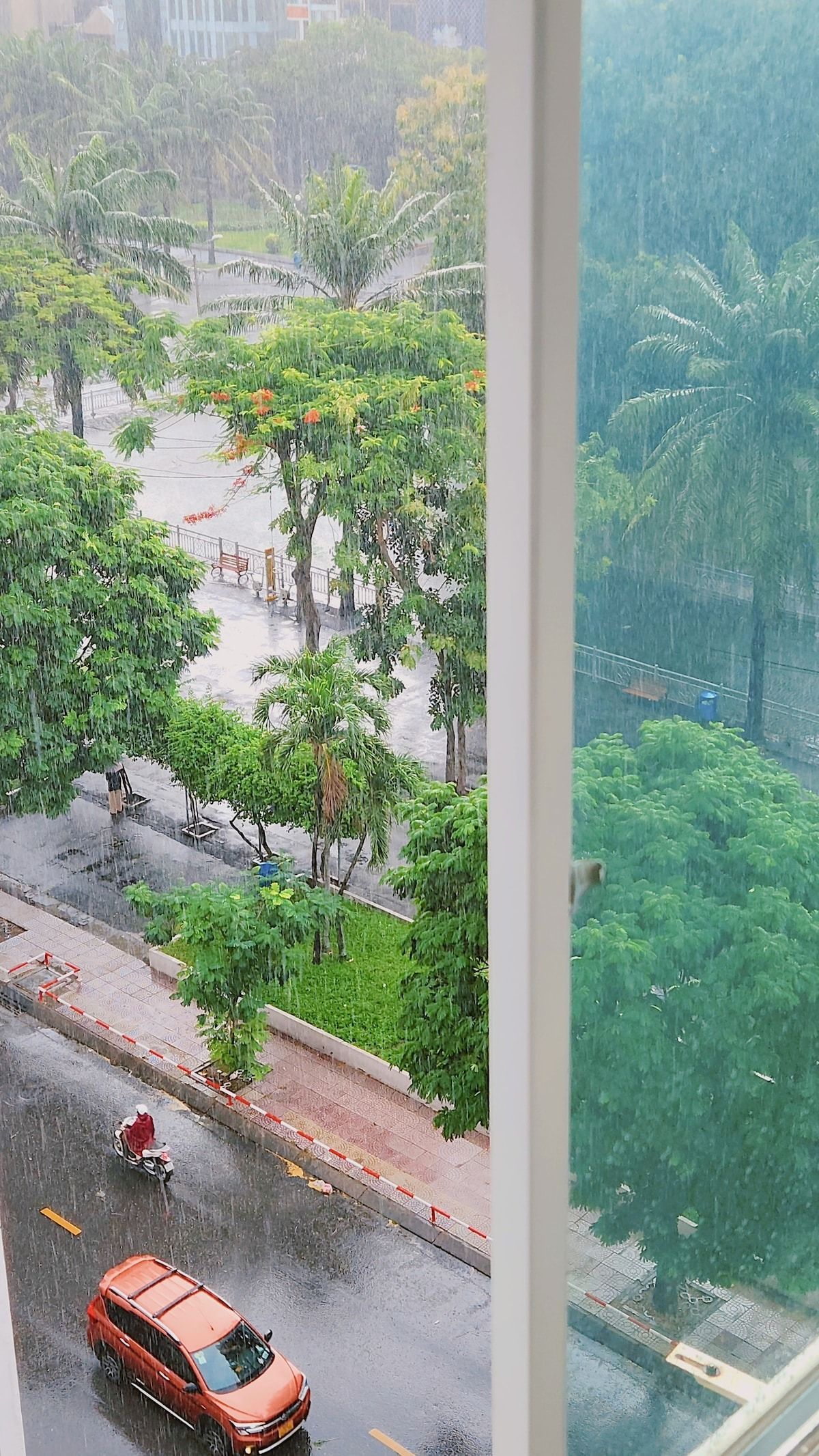 A view of a city street with a pedestrian crossing, trees, and a parked car.