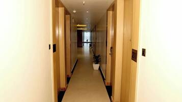 A hotel hallway with wooden doors, a carpeted floor, and a potted plant.
