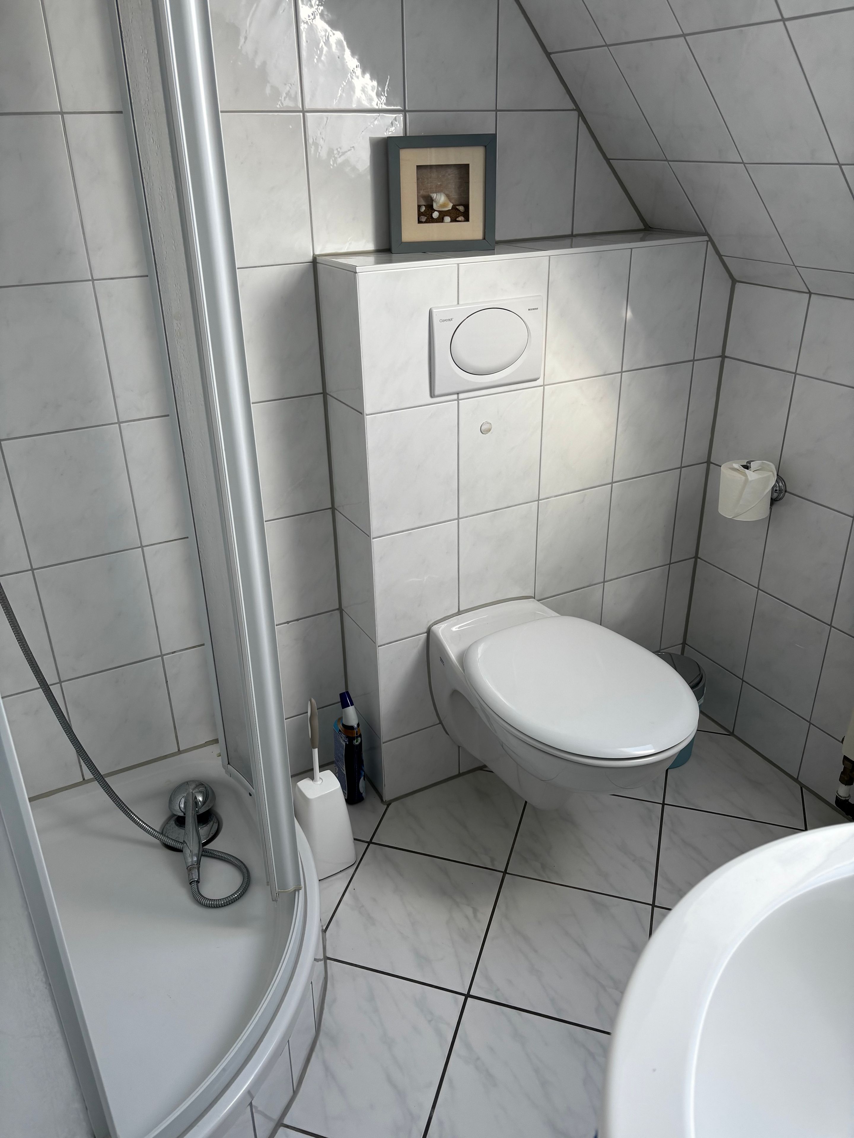 Un baño con inodoro, ducha y un cuadro en la pared.
