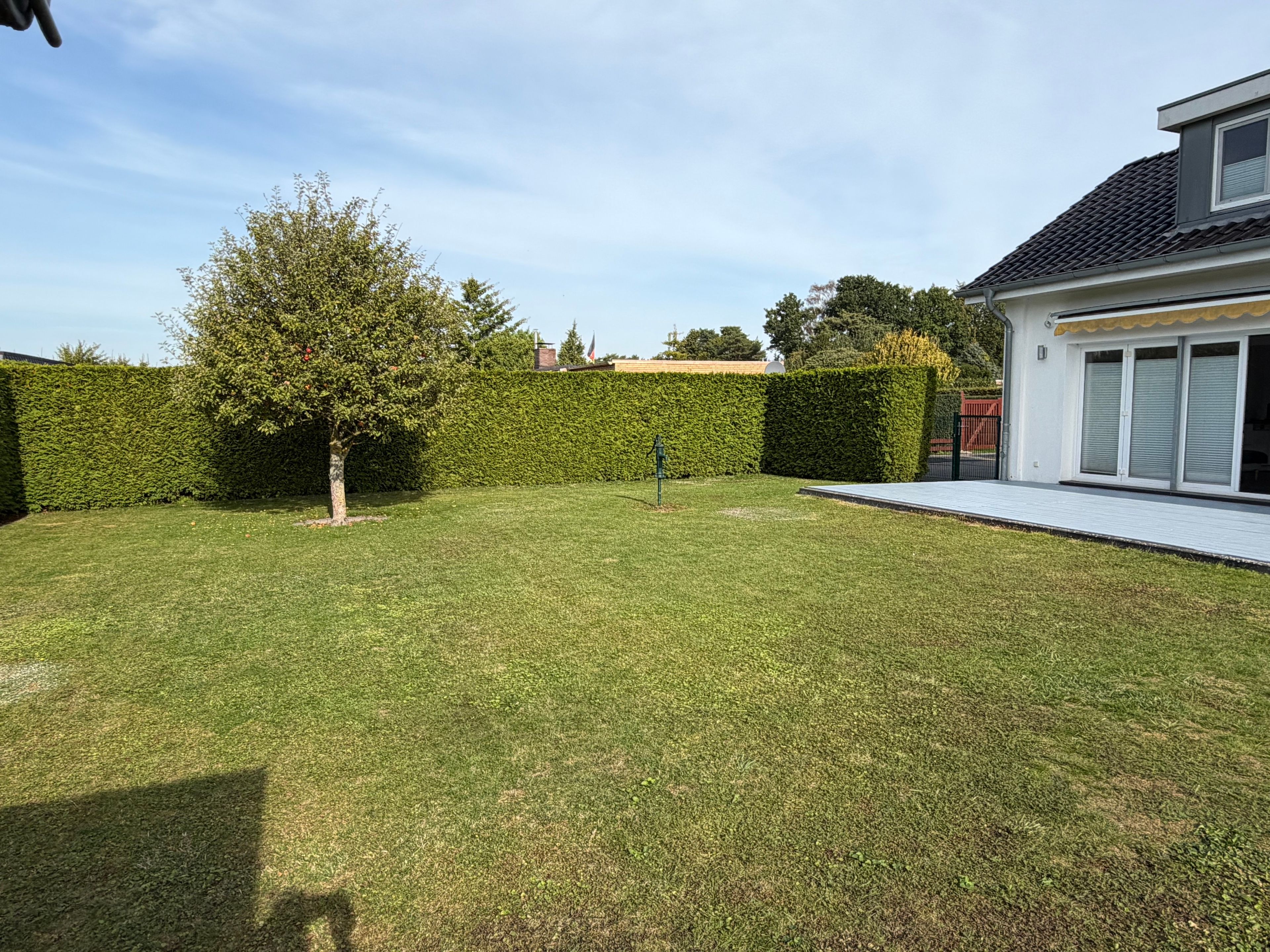 Ein gepflegter Garten mit Rasenfläche, Baum und Hecke.