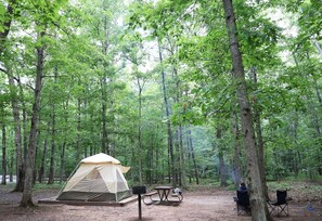 Campament forestal amb una tenda, taula de pícnic i cadires.