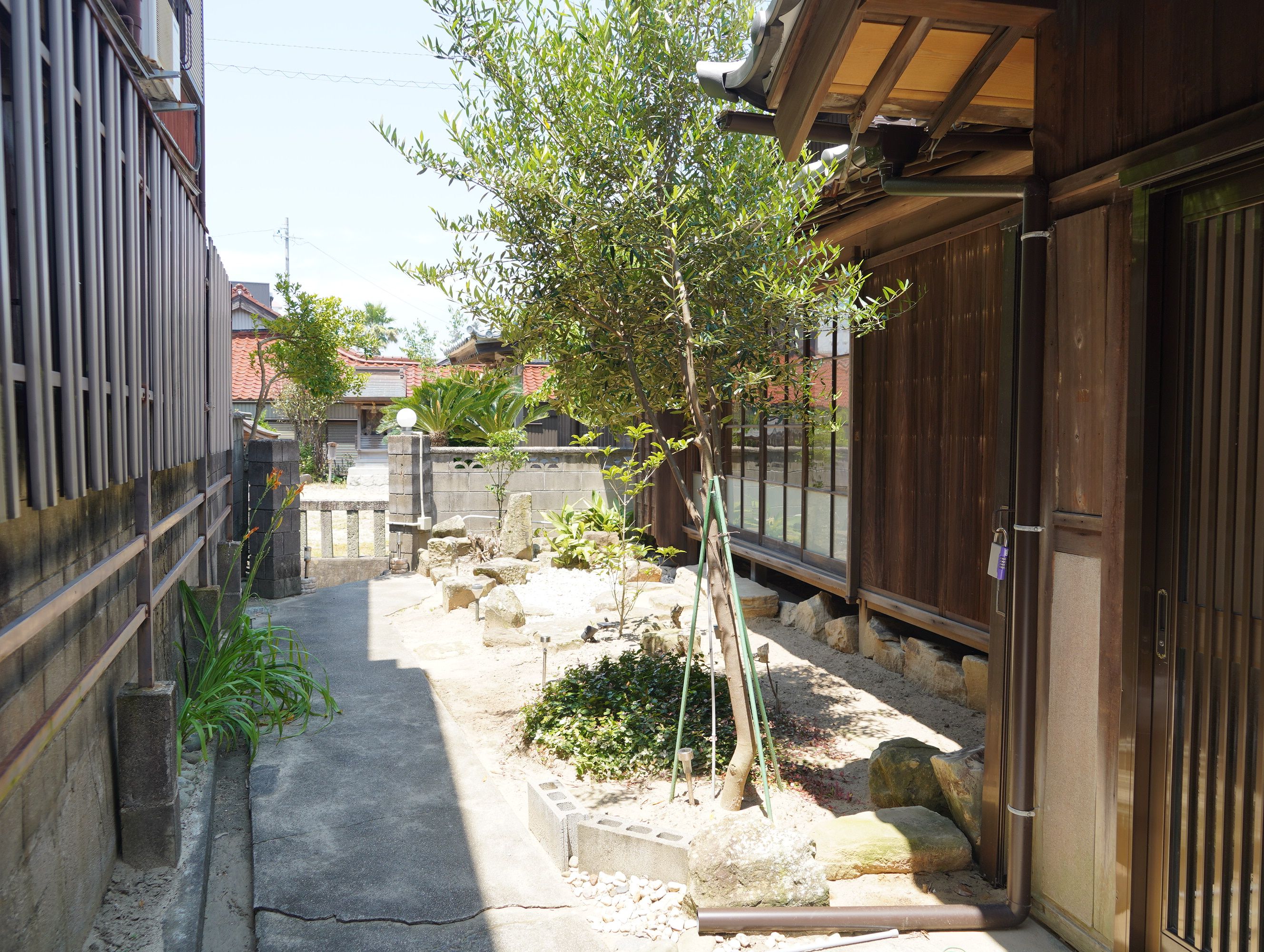 A narrow alleyway with a small tree, stone pathway, and traditional wooden buildings.