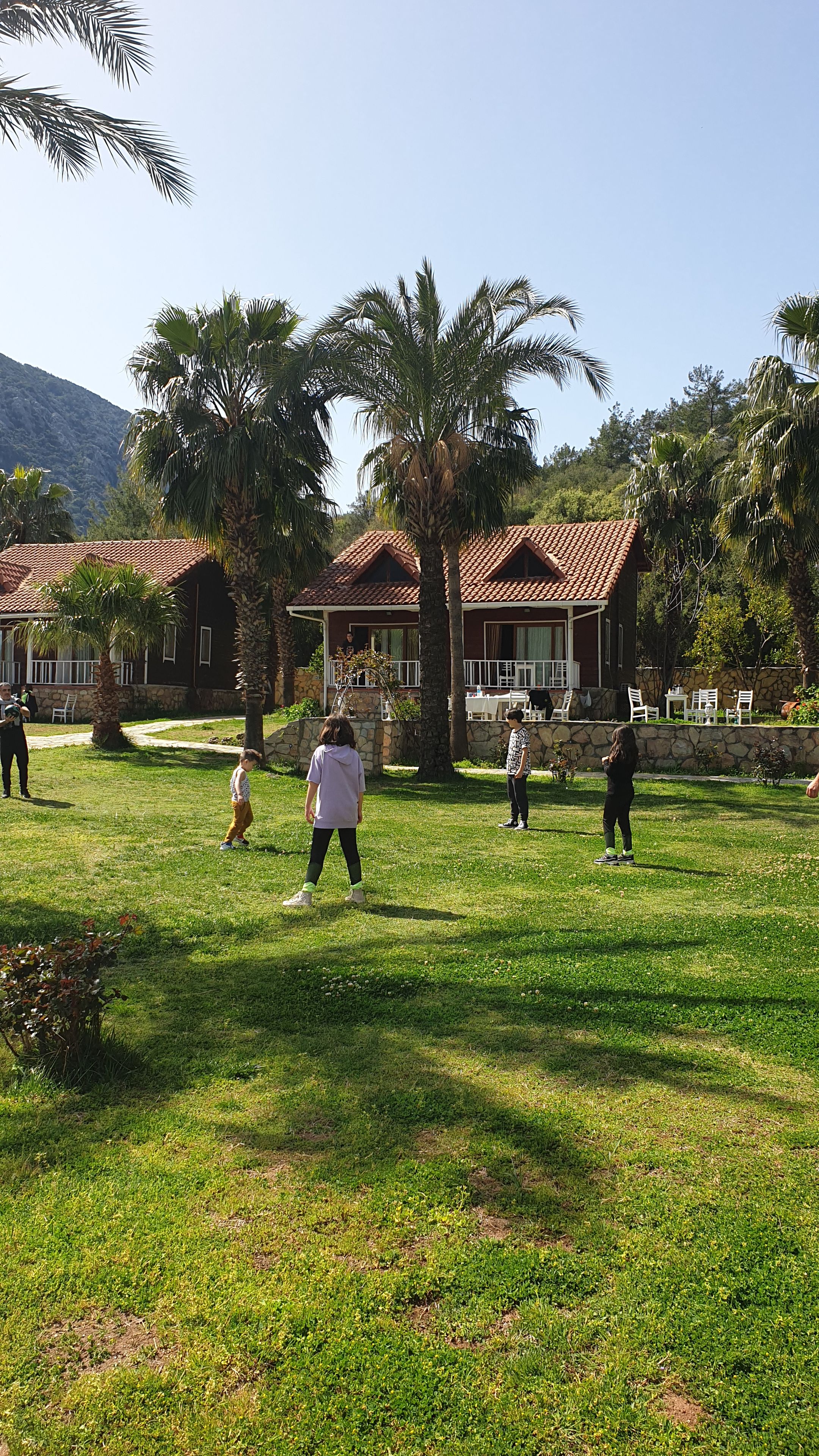 A grassy outdoor area with a building featuring a tiled roof and stone walls, surrounded by palm trees.