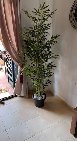 Una pianta in vaso con struttura simile al bambù in un angolo di una stanza con pavimento piastrellato e tenda.