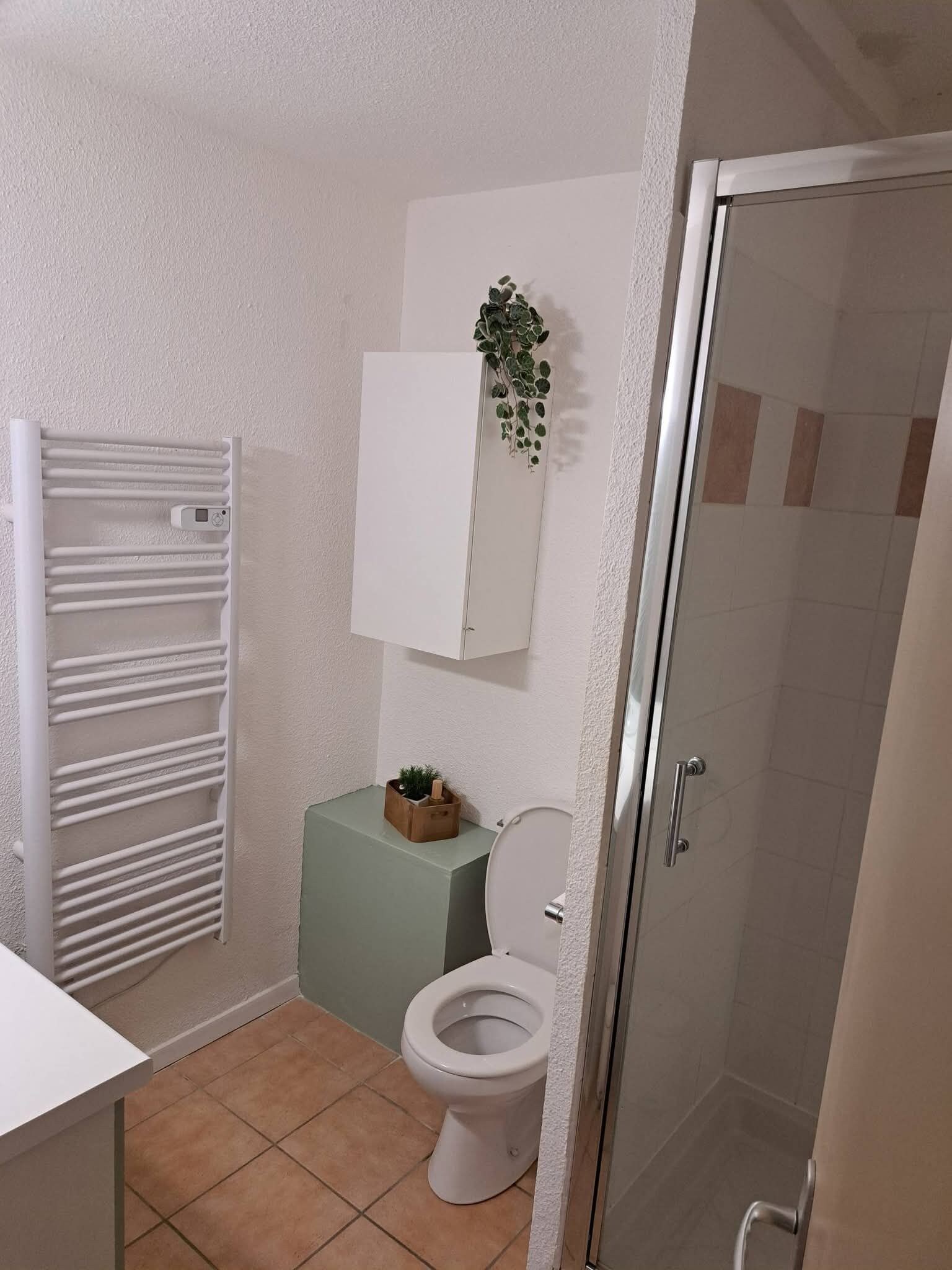 Ein Badezimmer mit Toilette, einem weißen Heizkörper, einem grünen Schrank und einer Duschkabine.