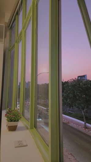 Una habitació amb grans finestres, una planta en test i una presa corrent a la finestra.
