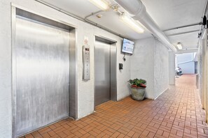 Un couloir avec deux ascenseurs, une plante en pot et un téléviseur fixé au mur.