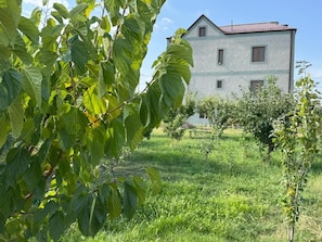 Un edifici amb estructura rectangular senzilla i teulada vermella, envoltat d'una zona verda amb arbres.