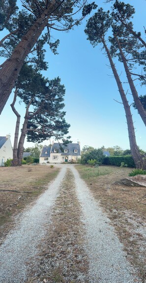 Un chemin de gravier mène à une maison avec un toit gris et des murs blancs, entourée de grands arbres.