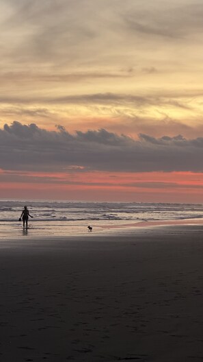 Eine Strandansicht mit einer Person und einem Hund am Wasserrand.