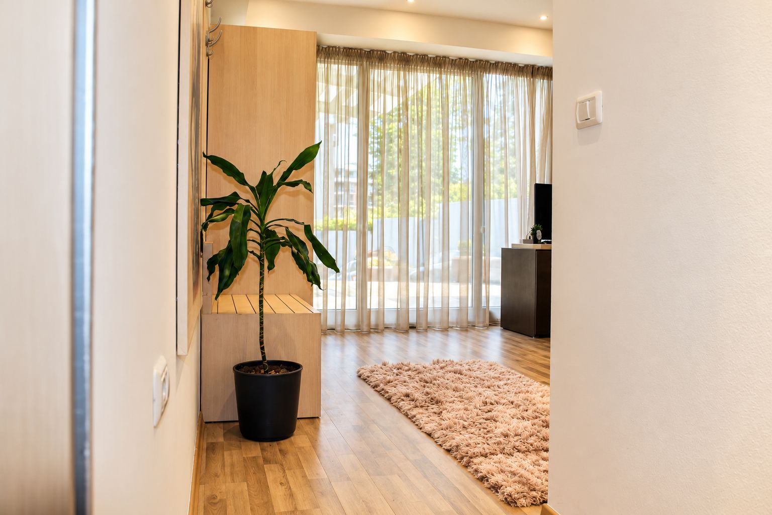 Una sala de estar moderna con piso de madera, una planta grande en maceta, un tapete mullido y un piso de vidrio corredizo que da a un balcón.