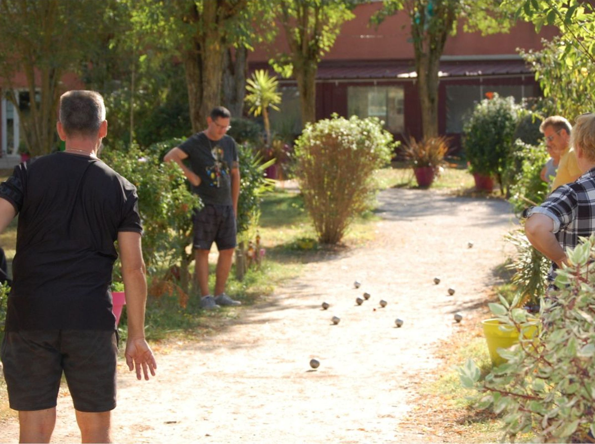 Un sendero en un jardín con gente parada observando aves.