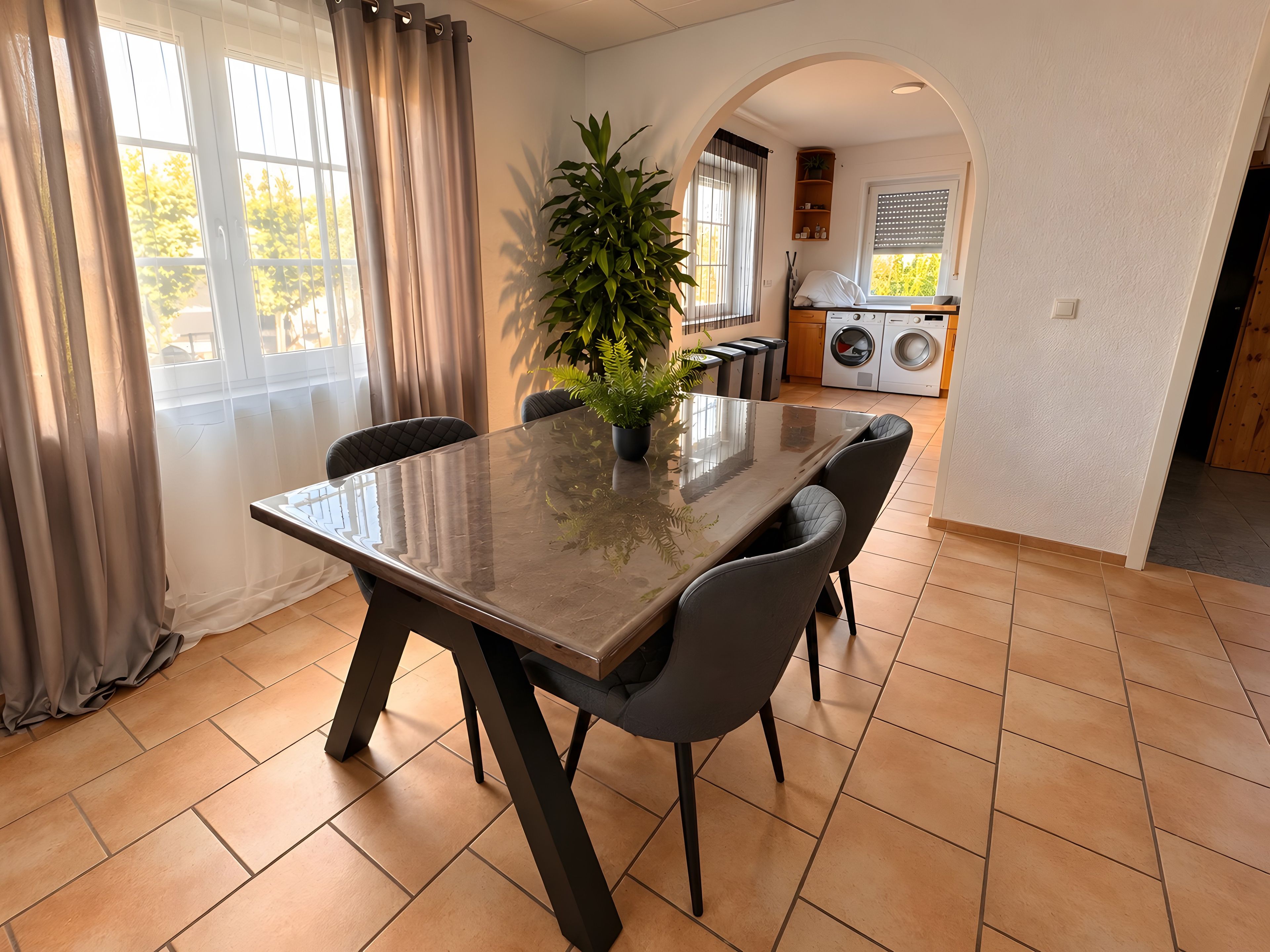 A dining area with a table and chairs, a potted plant, and a view of a laundry room.