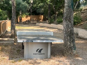Ein Tischtennis-Tisch der Marke Cornilleau in einer bewaldeten Außenanlage.