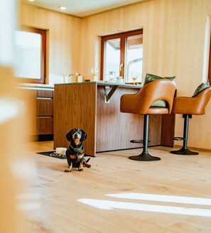 A dog sitting on a wooden floor in a room with a kitchen area, bar stools, and a window.